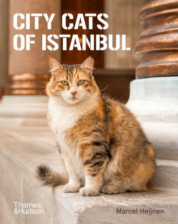 City Cats of Istanbul - Marcel Heijnen [KSIĄŻKA]