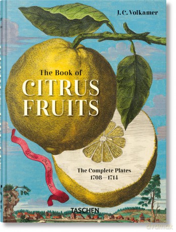 J. C. Volkamer. The Book of Citrus Fruits. 45th Ed. - J. C. Volkamer [KSIĄŻKA]