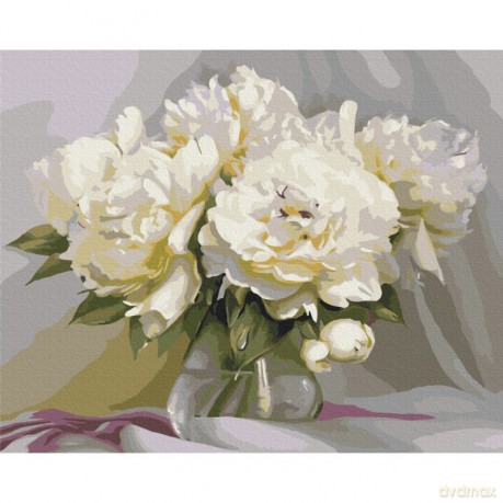 Malowanie po numerach BRUSHME 40x50cm Wyśmienita delikatność Piwonii