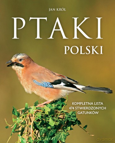 Ptaki Polski. Kompletna lista 474 stwierdzonych gatunków - Jan Król [KSIĄŻKA]
