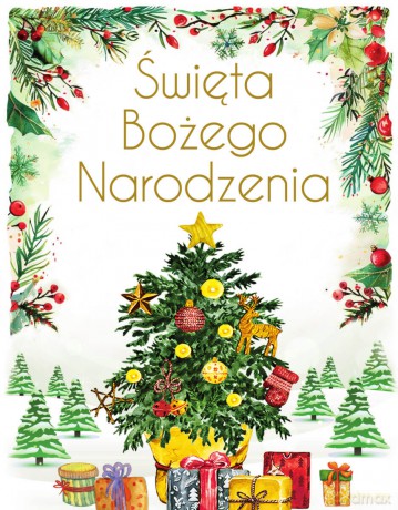 Święta Bożego Narodzenia - Anna Paszkiewicz [KSIĄŻKA]