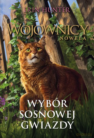 Wybór Sosnowej Gwiazdy. Wojownicy. Nowela - Erin Hunter [KSIĄŻKA]