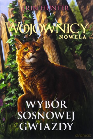 Wybór Sosnowej Gwiazdy. Wojownicy. Nowela - Erin Hunter [KSIĄŻKA]