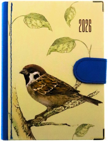 Kalendarz 2026 dzienny Natura Ptaki [KALENDARZ]