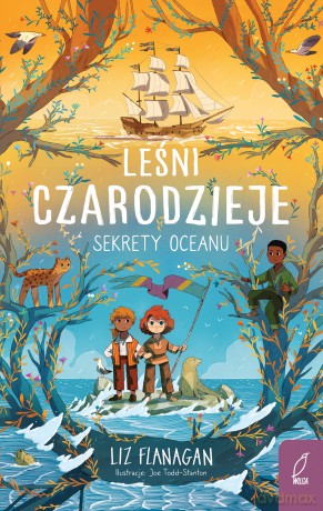 Sekrety oceanu. Leśni czarodzieje (Tom 3) - Liz Flanagan,Agnieszka Wilga [KSIĄŻKA]