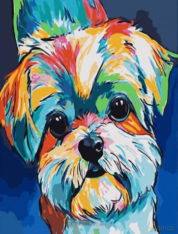 Malowanie po numerach 40x50 cm Tęczowy pies