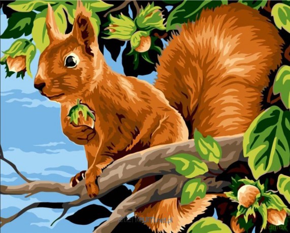 Malowanie po numerach 40x50 cm Wiewiórka z...