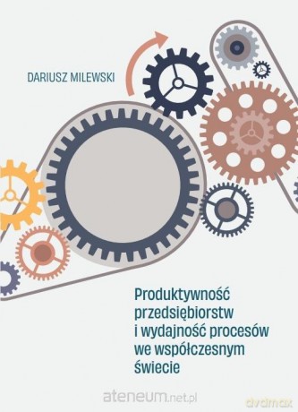 Produktywność przedsiębiorstw i wydajność... - Dariusz Milewski [KSIĄŻKA]