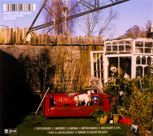Jools: Violent Delights [CD]