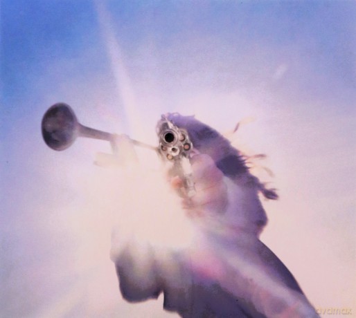 Geese: Getting Killed [CD]