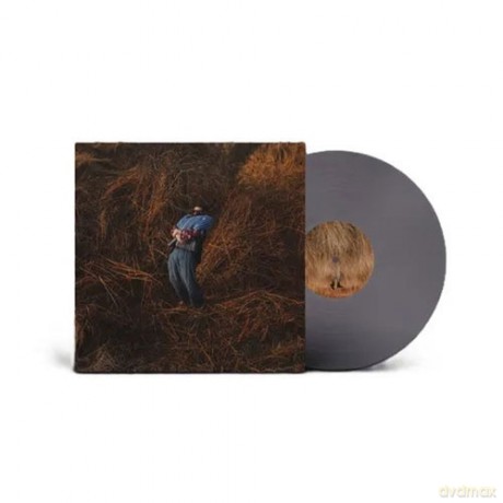 Jack Garratt: Pillars (Clear Indie) [Winyl]
