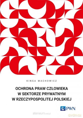 Ochrona praw człowieka w sektorze prywatnym... - Kinga Machowicz [KSIĄZKA]