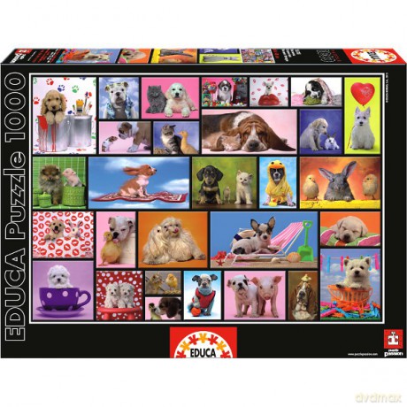 Educa 1000 El. Wspólne Chwile [PUZZLE]