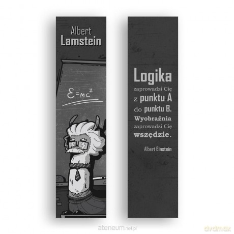 Zakładka kartonowa - Logika