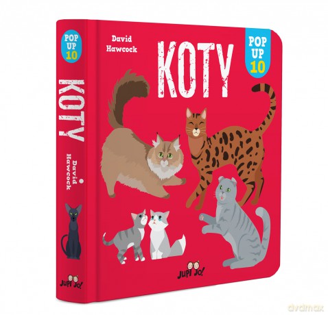 Koty. Pop-up - David Hawcock [KSIĄŻKA]
