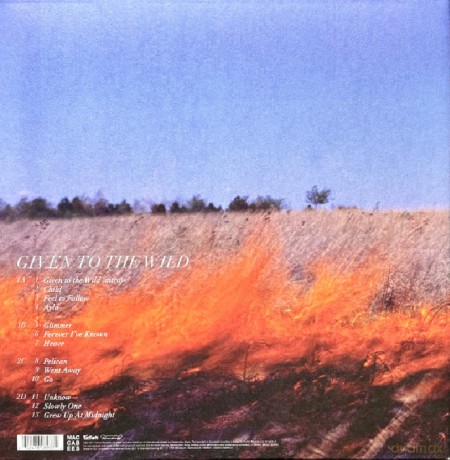Maccabees: Given To The Wild [Winyl]