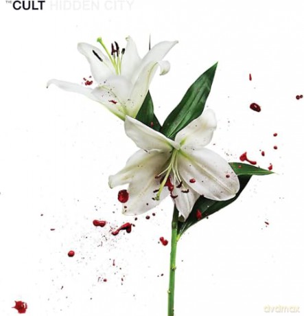Cult: Hidden City (White/Red) [Winyl]