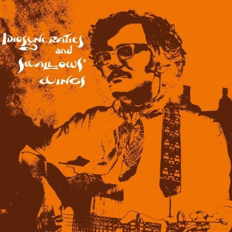Jeremy Harmer: Idiosyncratics And Swallows Wings [CD]