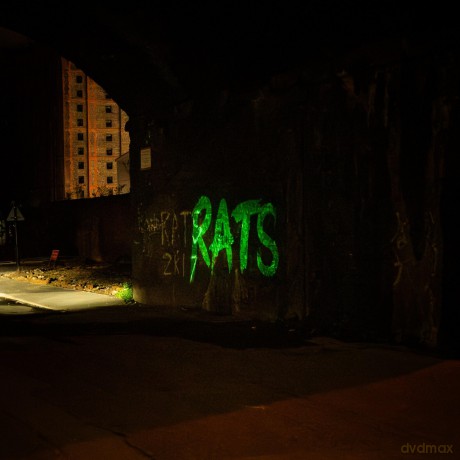 Rats: Rule The World (Green) [Winyl]
