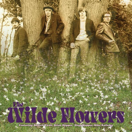 Wilde Flowers: The Wilde Flowers (Clear Yellow) [Winyl]