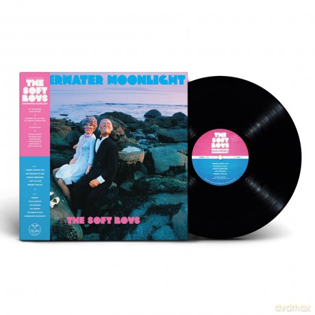 Soft Boys: Underwater Moonlight (45th Anniversary Remaster) [Winyl]