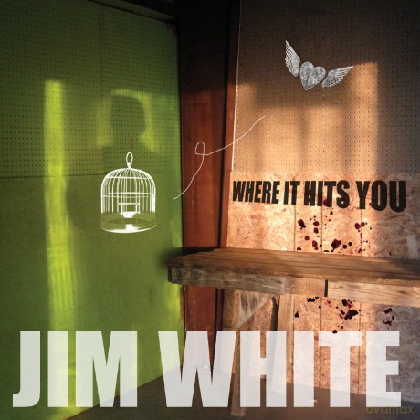 Jim White: Where It Hits You [Winyl]