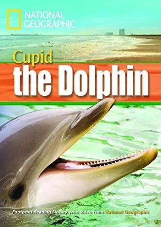 A Dolphin Named Cupid: Footprint Reading Library 1600 - Rob Waring [KSIĄŻKA]