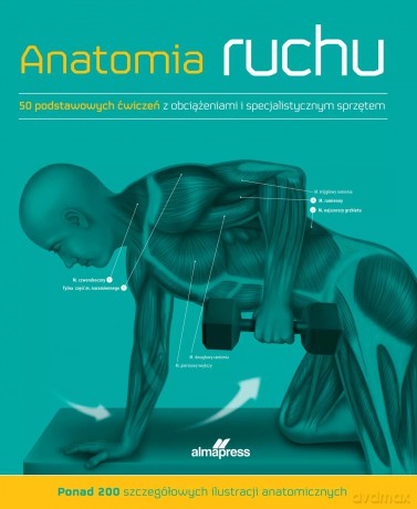 Anatomia ruchu. Podręcznik ćwiczeń - Ken Ashwell [KSIĄŻKA]