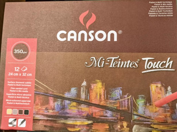 Blok do pasteli Canson 12 szt.