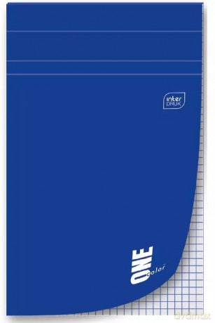Blok Listowy A4/80k kratka One Color Int A 5 Pg