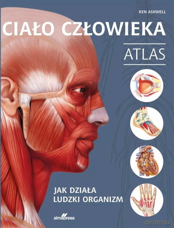 Ciało człowieka. Atlas. Jak działa ludzki organizm - Ken Ashwell [KSIĄŻKA]