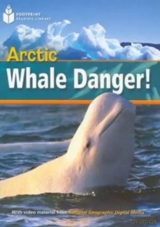 FRL (Level 800) Arctic Whale Danger - Rob Waring [KSIĄŻKA]