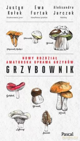 Grzybownik - Justyn Kołek, Ewa Furtak, Aleksandra Jarczok [KSIĄŻKA]
