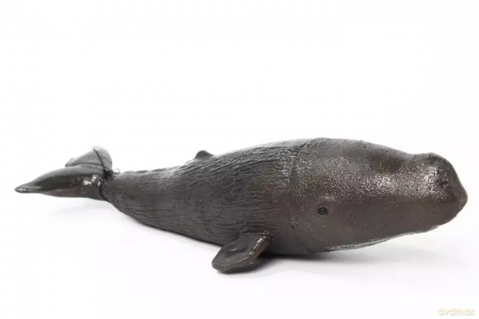 Kaszalot 32cm 21581 15816