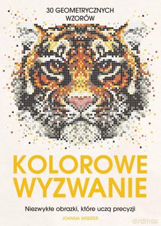 Kolorowe wyzwanie. Niezwykłe obrazki, które uczą precyzji - Joanna Webster [KSIĄŻKA]