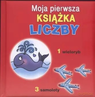 Liczby moja pierwsza książka [KSIĄŻKA]