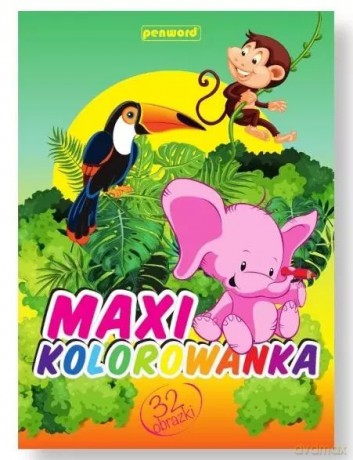 Maxi kolorowanka MIX [KSIĄŻKA]
