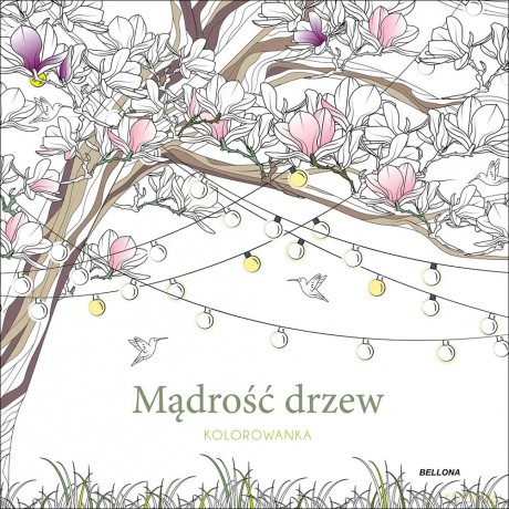 Mądrość drzew (kolorowanka) - Sara Muzio [KSIĄŻKA]