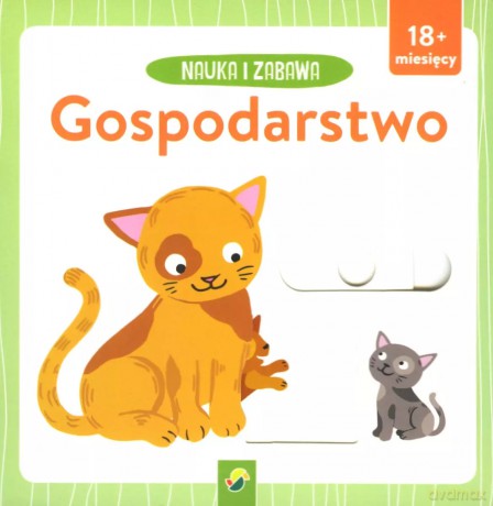 Nauka i zabawa. Gospodarstwo [KSIĄŻKA]