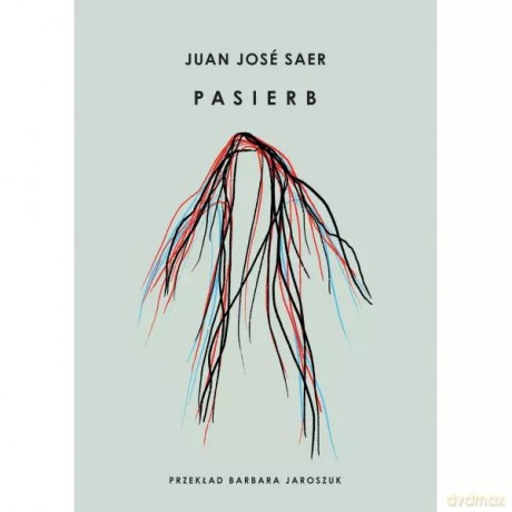 Pasierb - Saer Jose Juan [KSIĄŻKA]