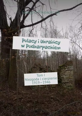 Polacy i Ukraińcy w Podkarpackiem - Grzegorz Piwowarczyk [KSIĄŻKA]