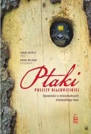 Ptaki Puszczy Białowieskiej. Opowieści o mieszkańcach niezwykłego lasu - Adam Zbyryt, Adam Wajrak [KSIĄŻKA]