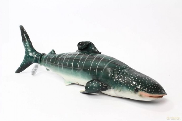 Rekin Wielorybi 56cm DO KĄPIELI ZABAWY
