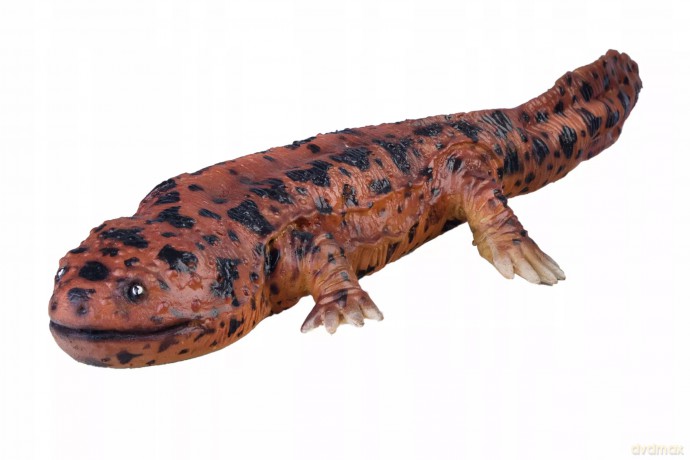 Salamandra 42 cm Długości