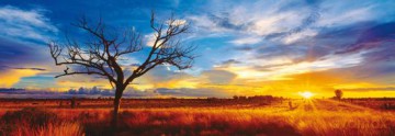 Puzzle 1000 El. Mark Gray Desert Oak/Australia (Panorama) [PUZZLE]