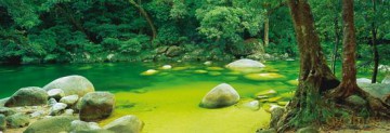 Puzzle 1000 El. Mark Gray Mossman Gorge/Australia (Panorama) [PUZZLE]