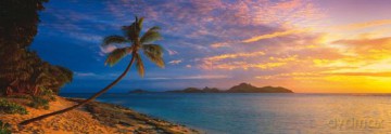 Puzzle 1000 El. Mark Gray Tokoriki Island/Fiji (Panorama) [PUZZLE]