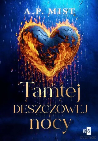 Tamtej deszczowej nocy - Mist A.P. [KSIĄŻKA]