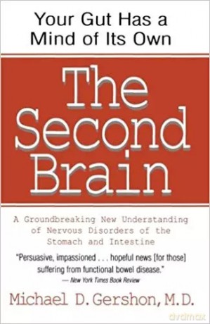 The Second Brain [KSIĄŻKA]