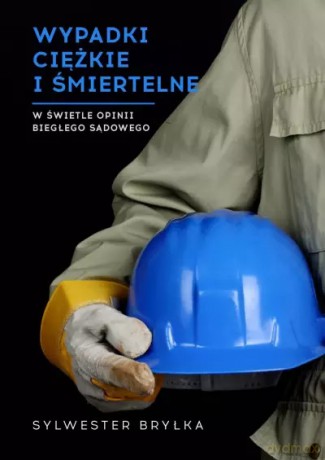 Wypadki ciężkie i śmiertelne w świetle opinii biegłego sądowego - Sylwester Bryłka [KSIĄŻKA]